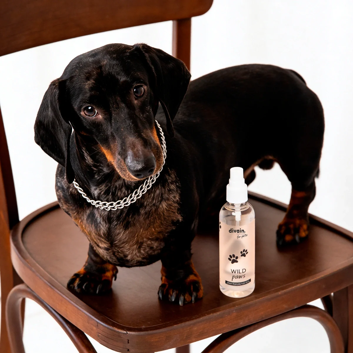 Wild Paws Scent for Pets - Image 3