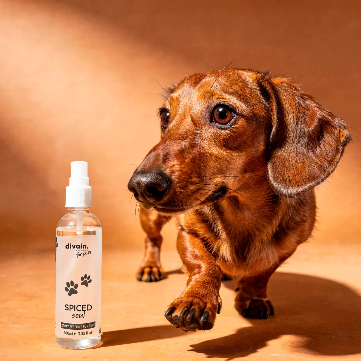 Spiced Soul Perfume for pets - Image 3