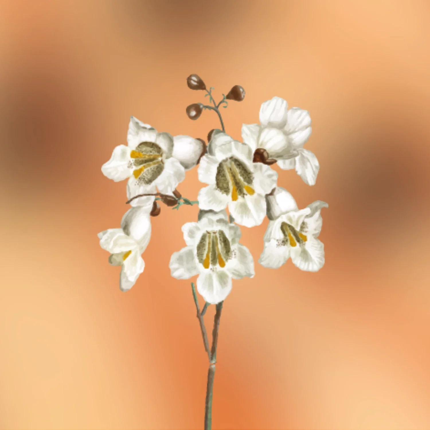 Gourmand Fragrance Primer - Image 2