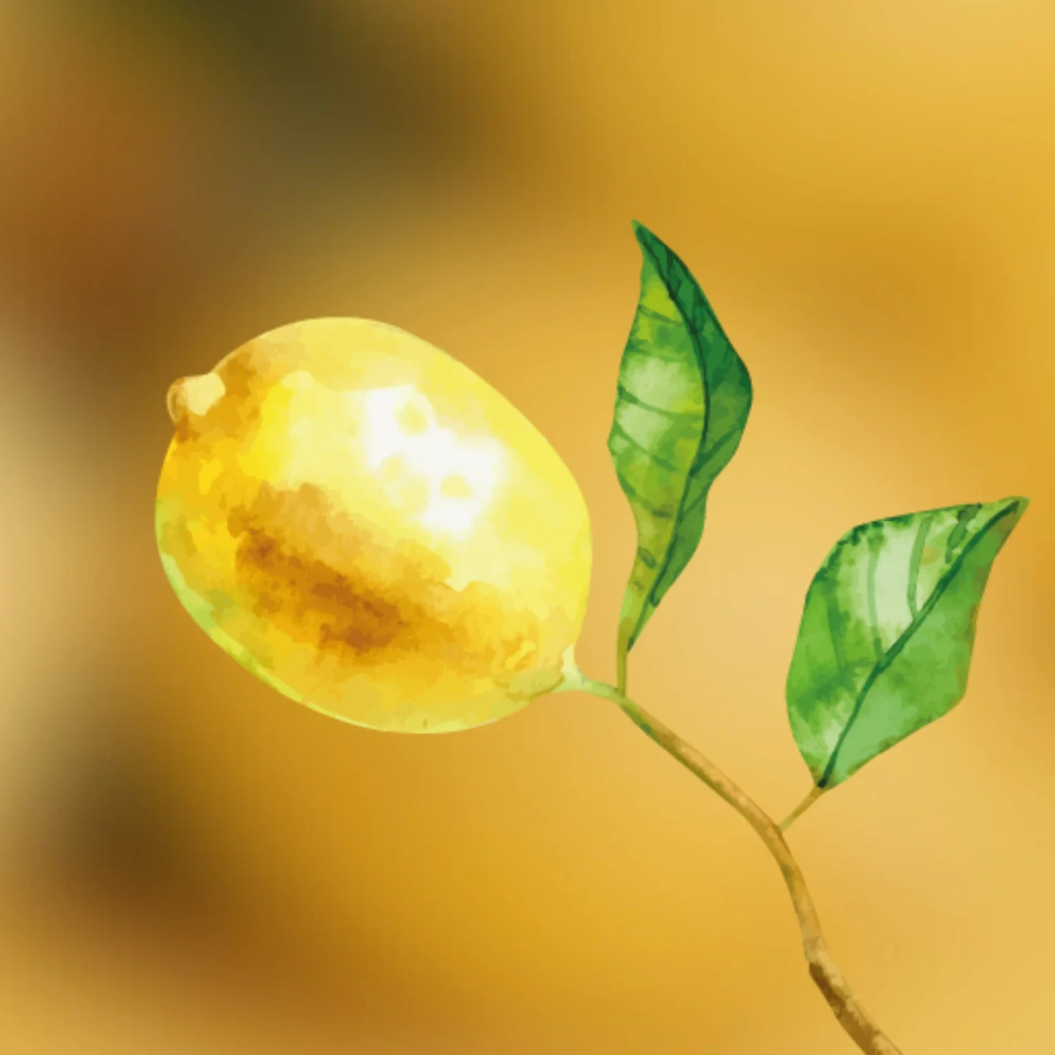 Citrus Fragrance Primer - Image 2