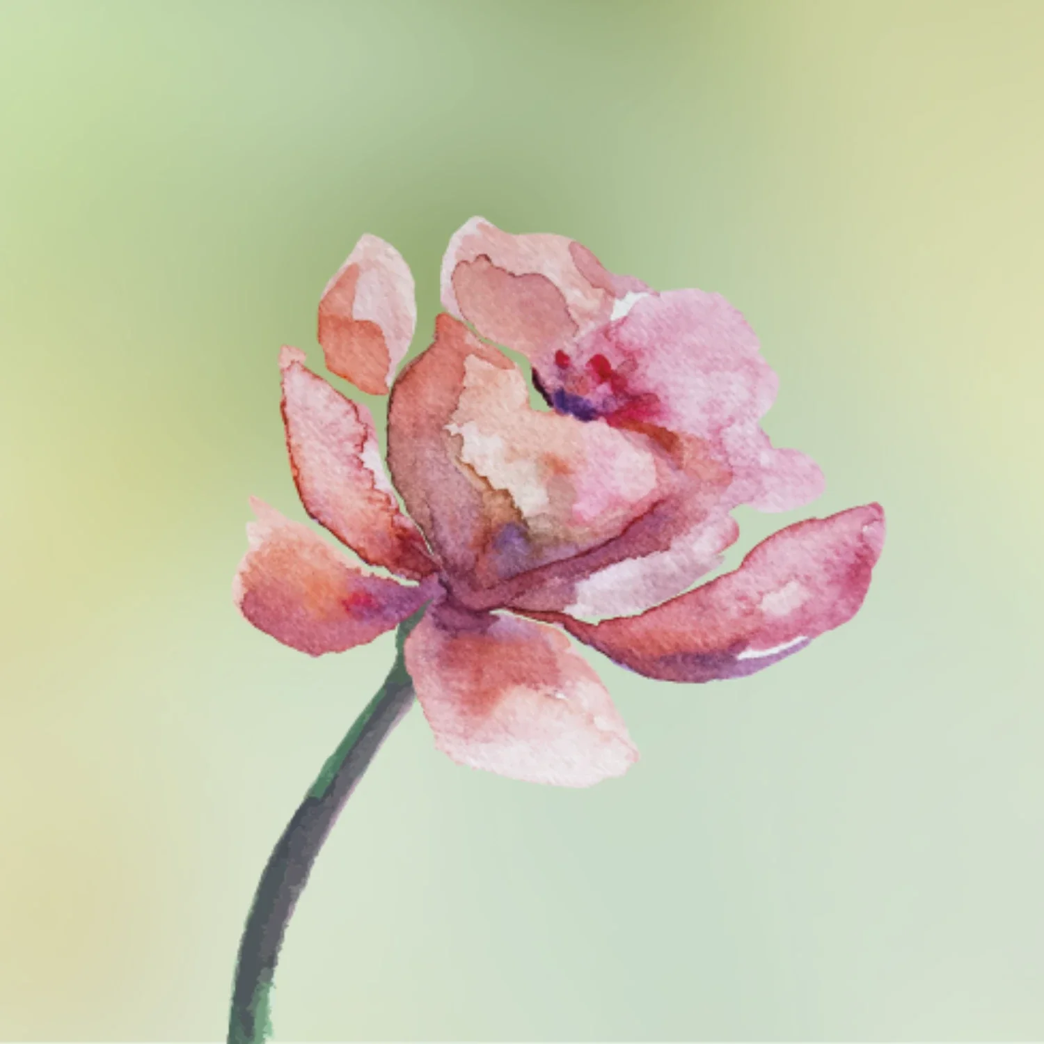Floral Fragrance Primer - Image 2