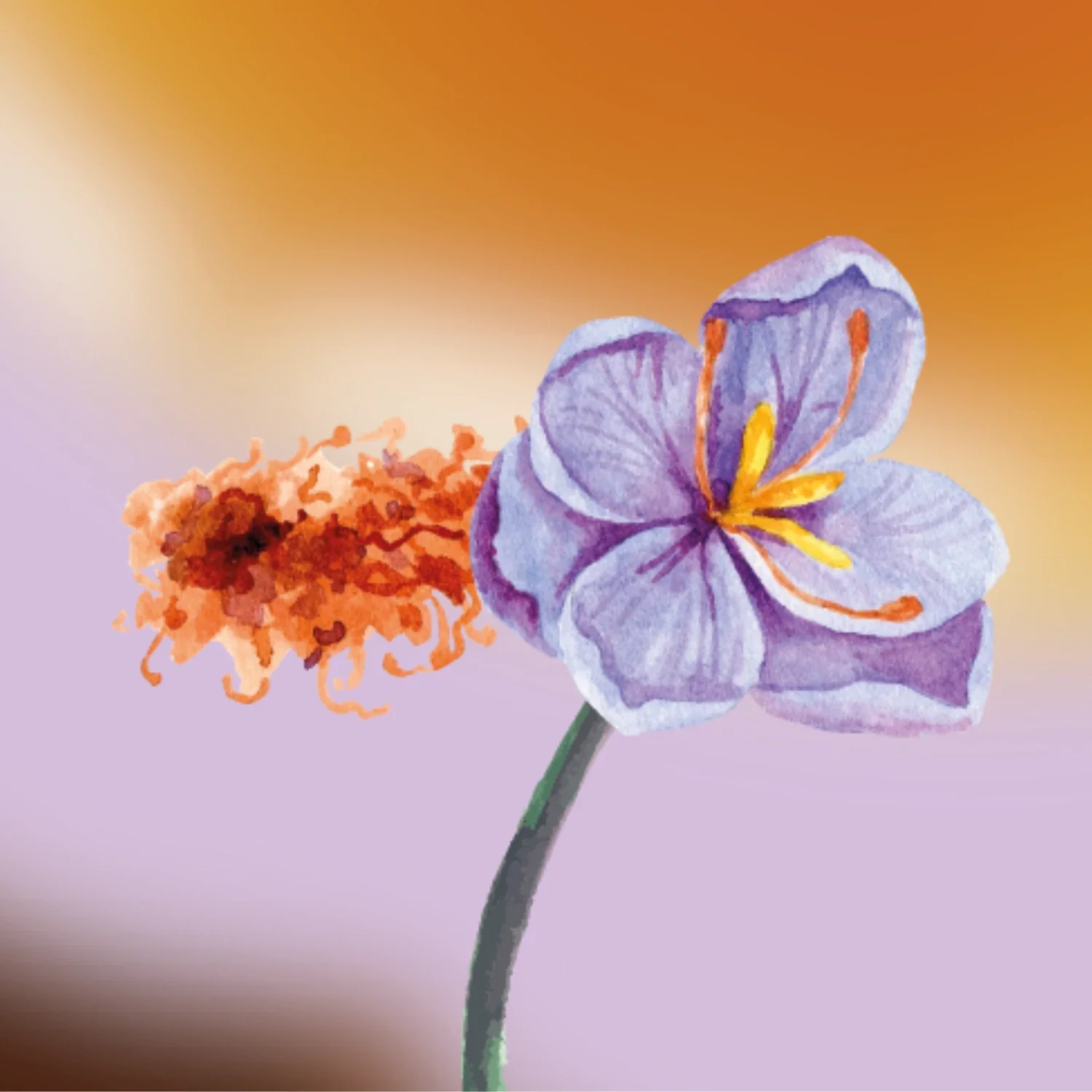 Oriental Fragrance Primer - Image 2